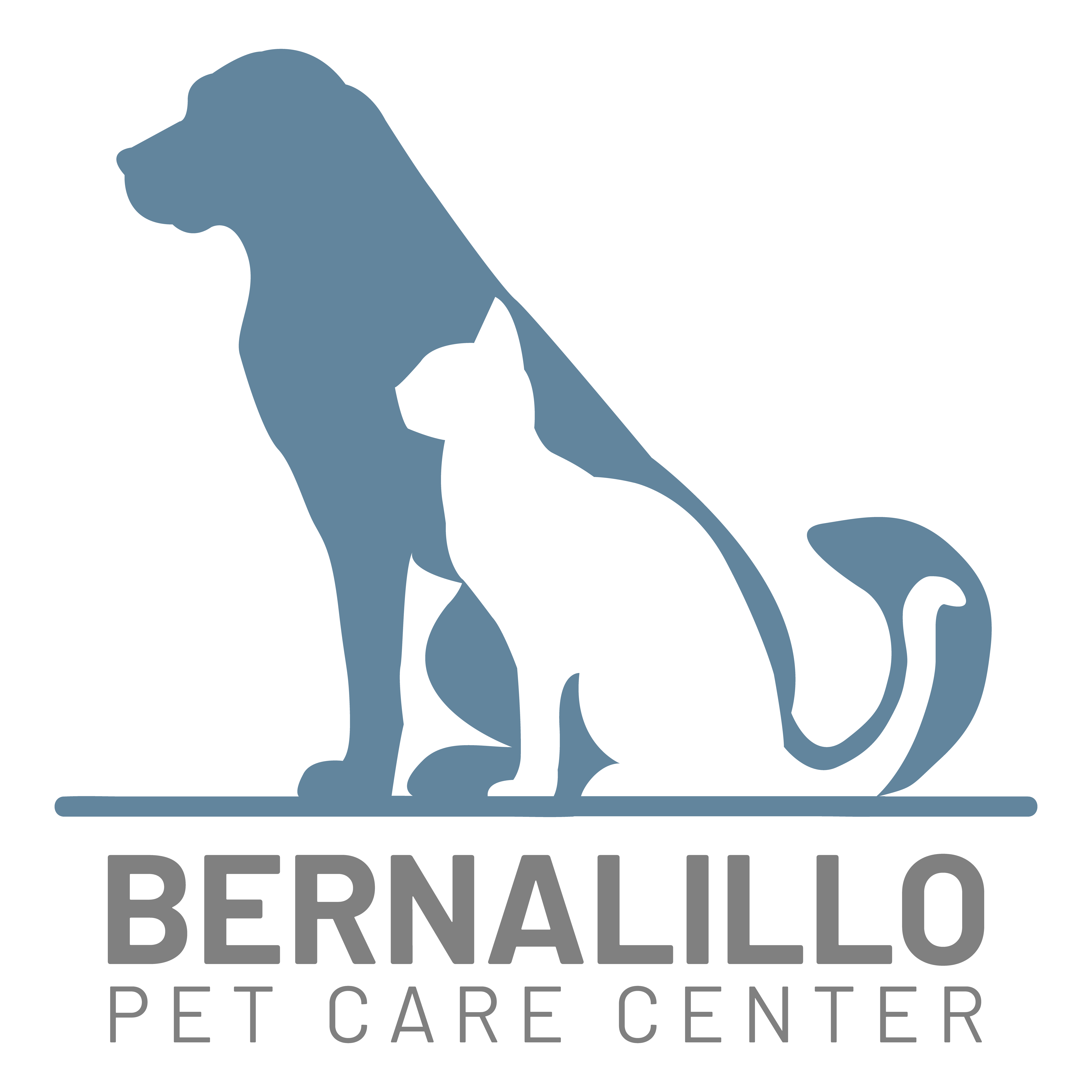 Best Vet Hospital In Bernalillo | Bernalillo Pet Care Center